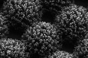 新疆新疆蔡司显微镜